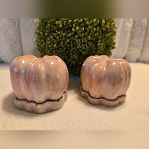 2 Porcelain Handmade/painted Pumpkin Decor. Alone Or With Greenery